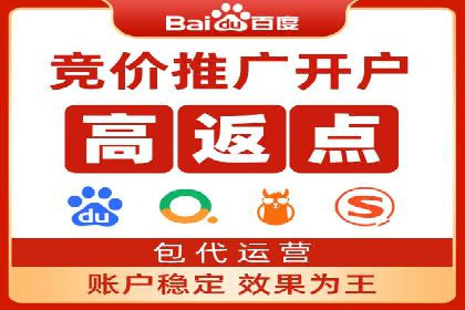 SEM搜索引擎优化成功案例，揭示优化策略与技巧
